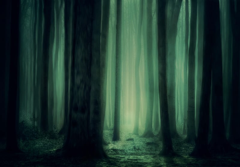Mystical Woodland Sanctuaries